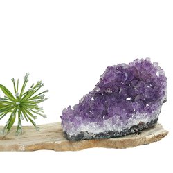 Amethyst Cluster from Brazil