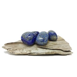 Lapis Lazuli Tumbled Stones Each Approx 10g