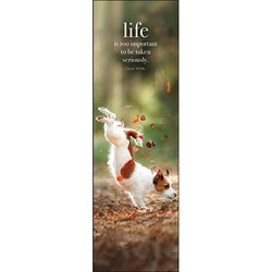Life - Affirmation Bookmarks