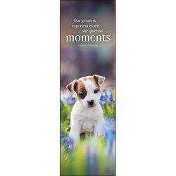 Moments - Affirmation Bookmarks