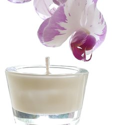 Scented Candle - Soy Wax - 15 hours Tumbler 50g