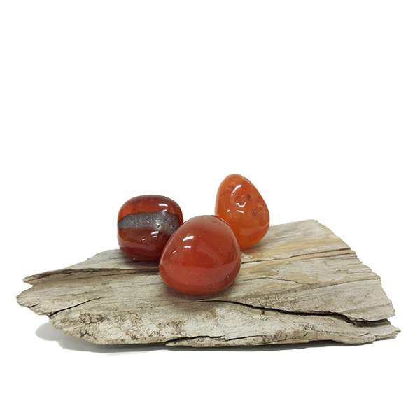 Carnelian Tumbled Stones 50g (5-6 Stones) - Click Image to Close