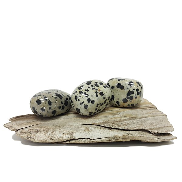 Jasper Dalmatian Tumbled Stones 50g (3-4 Stones) - Click Image to Close
