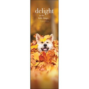 Delight - Affirmation Bookmarks - Click Image to Close