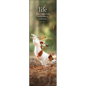 Life - Affirmation Bookmarks - Click Image to Close