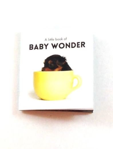 Little Book of Baby Wonder - Click Image to Close