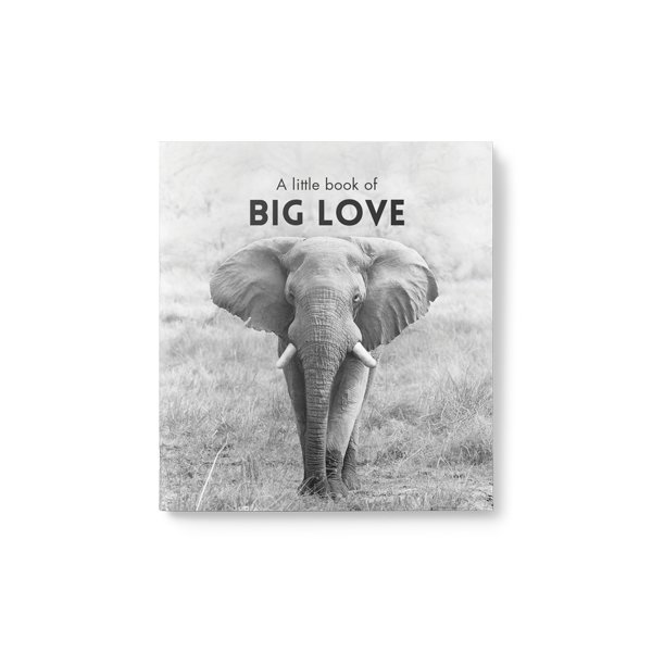 Little Book of Big Love - Click Image to Close
