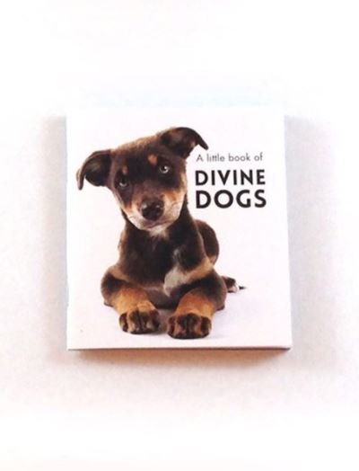 Little Book of Divine Dogs - Click Image to Close