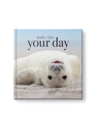 Make This Your Day - Click Image to Close