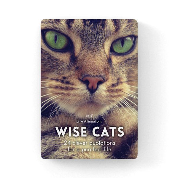 Wise Cat - Affirmation Animal Card Set - Click Image to Close