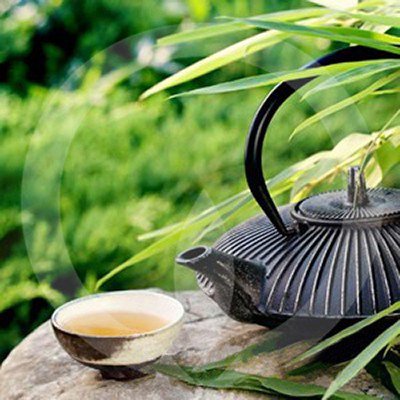 Green Tea & Lemongrass Soy Wax Melts - Click Image to Close