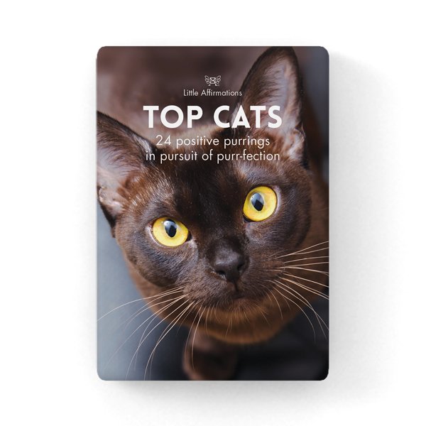Top Cat - Affirmation Animal Card Set - Click Image to Close