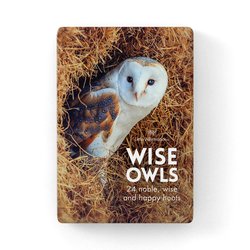 Wise Old Owl - Affirmation Animal Card Set